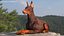 Doberman Pinscher brun avec fourrure