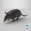 3D Armadillo in Walking Pose Black