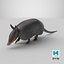 3D Armadillo in Walking Pose Black
