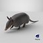 3D Armadillo in Walking Pose Black