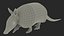 3D Armadillo in Walking Pose Black