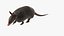 3D Armadillo in Walking Pose Black