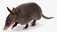3D Armadillo in Walking Pose Black