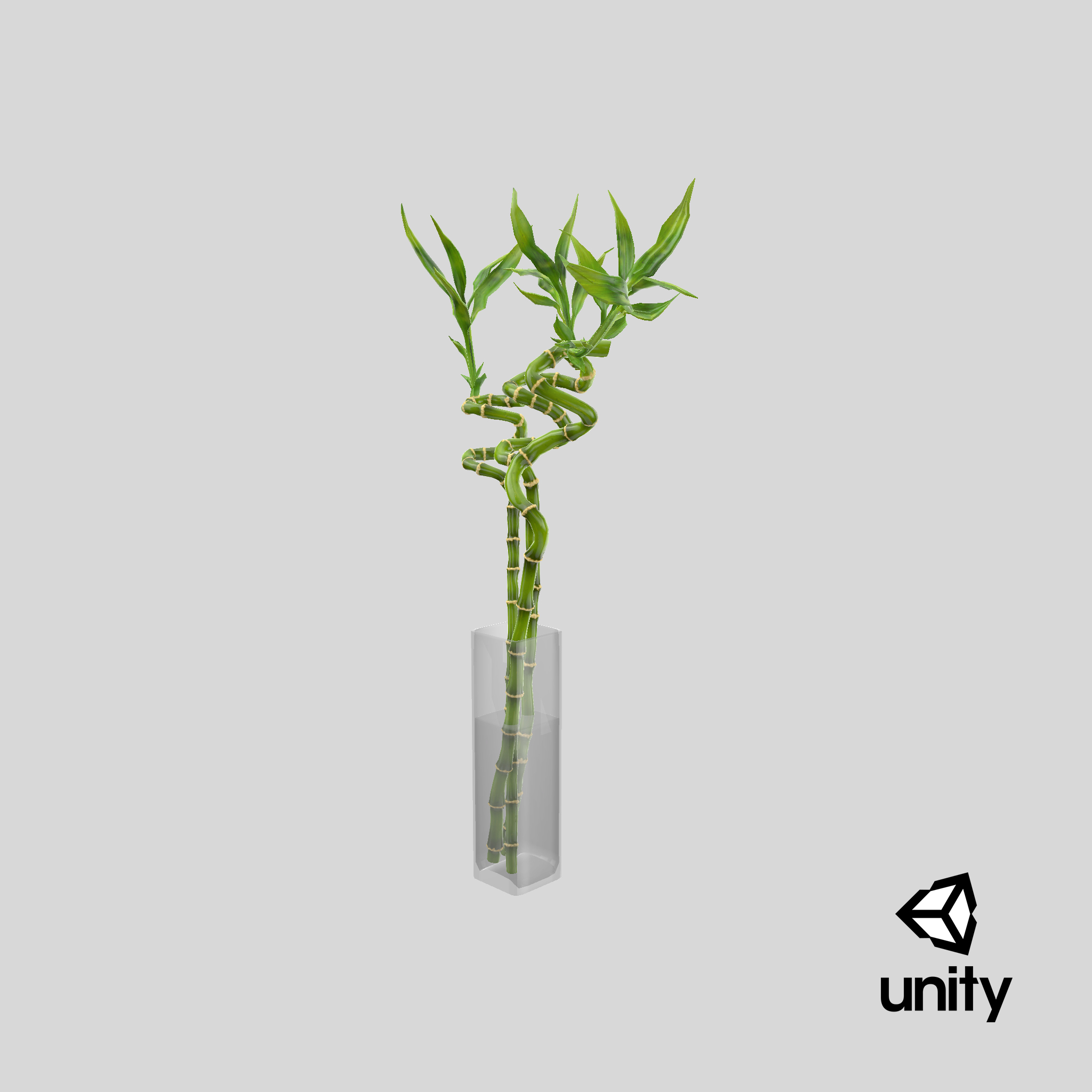 3D lucky bamboo bouquet TurboSquid 1546223
