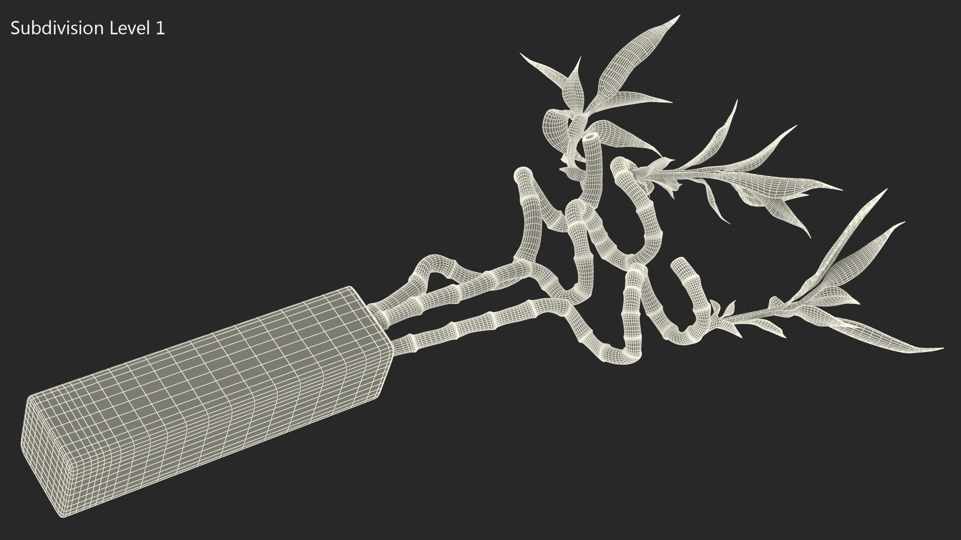 3D lucky bamboo bouquet https://p.turbosquid.com/ts-thumb/As/Dt6Fwl/BG8rHnPG/luckybamboobouquet3dsmodel011/jpg/1587510095/1920x1080/fit_q87/6bf81c20d2ba9218b9df45643cd1d5f9fc42867d/luckybamboobouquet3dsmodel011.jpg