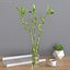 Lucky Bamboo Bouquet