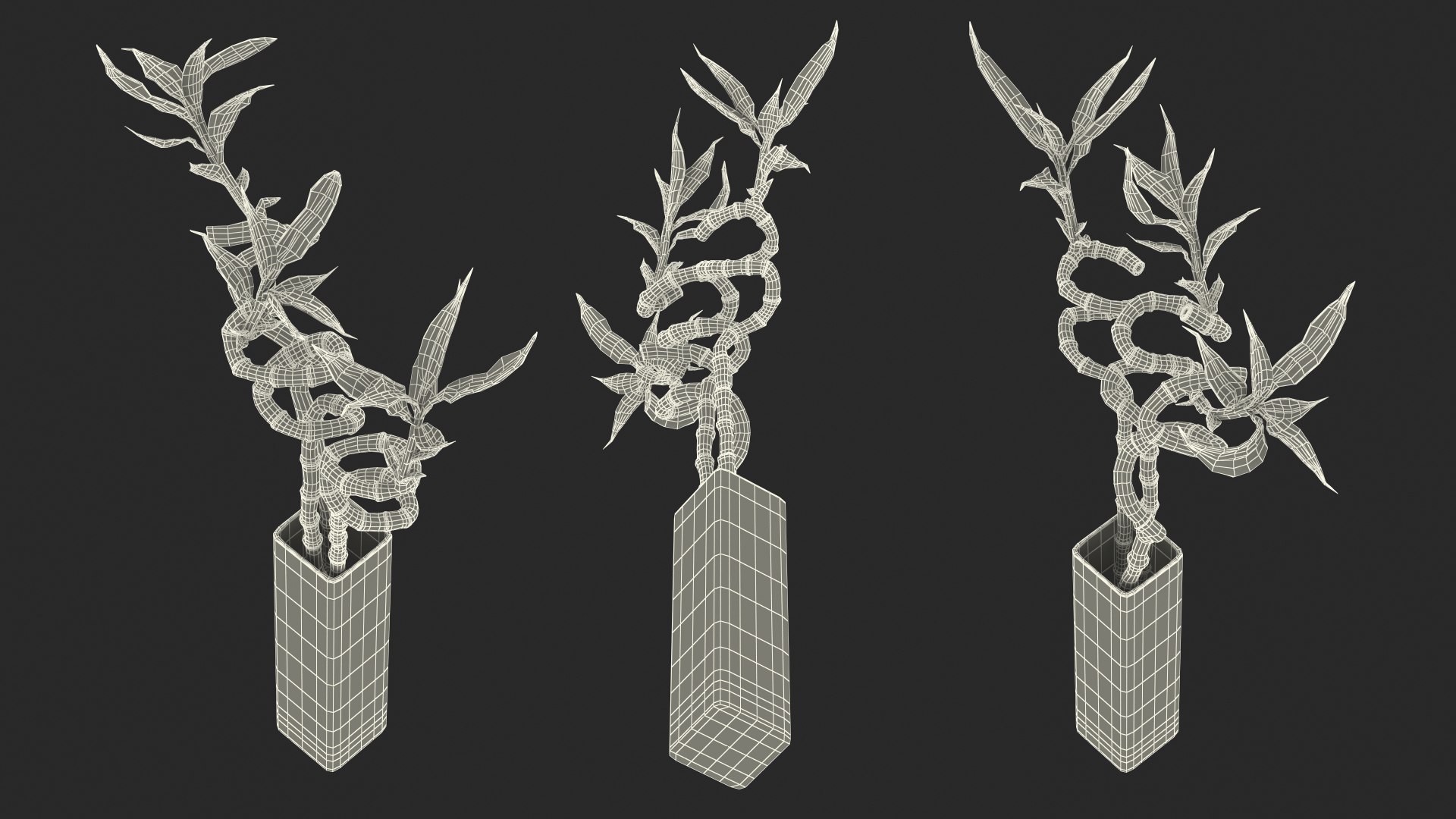3D lucky bamboo bouquet https://p.turbosquid.com/ts-thumb/As/Dt6Fwl/SeugVECs/luckybamboobouquet3dsmodel019/jpg/1587510123/1920x1080/fit_q87/99284f8b3bbb7895540415223c0dd8578d5ebfc0/luckybamboobouquet3dsmodel019.jpg