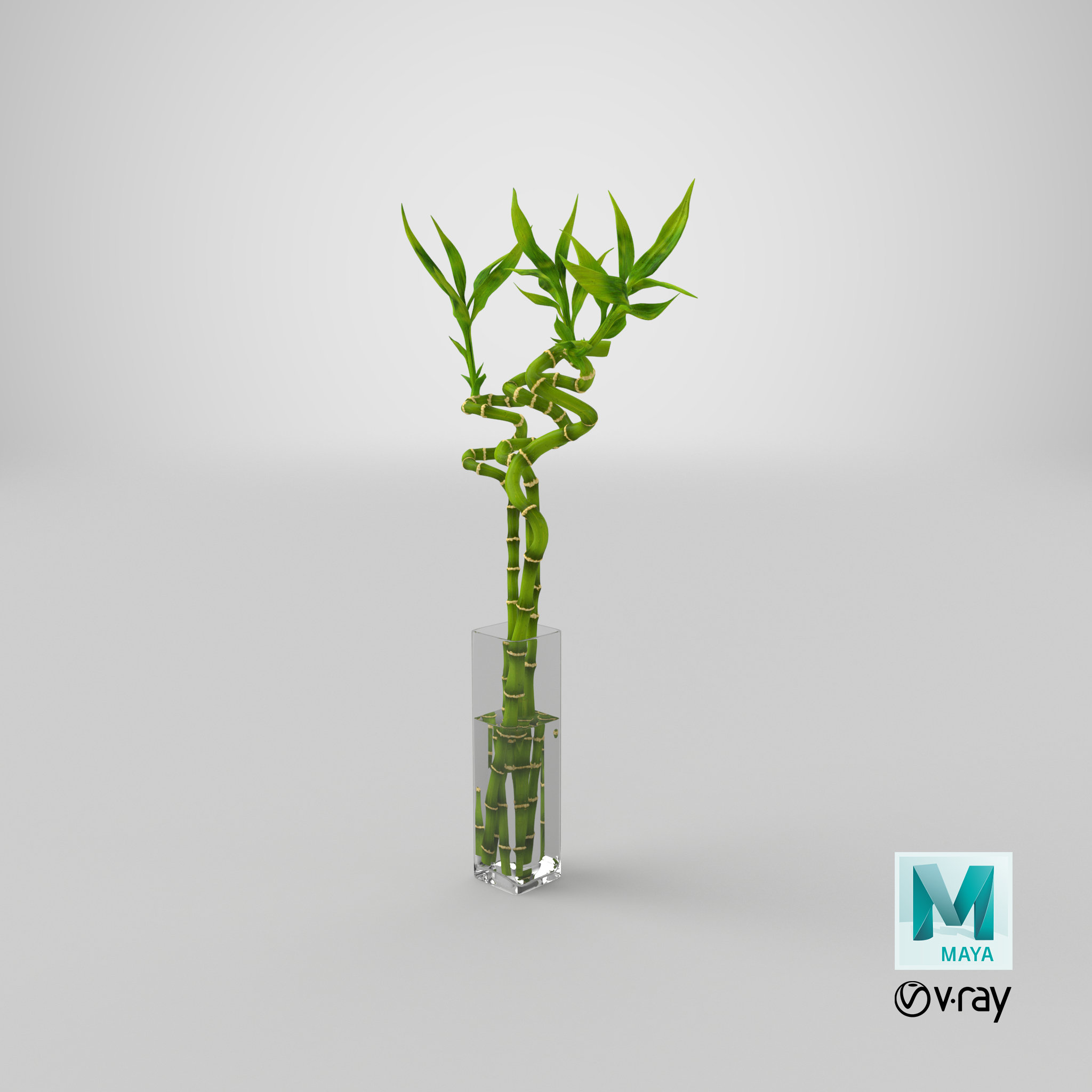 3D lucky bamboo bouquet TurboSquid 1546223