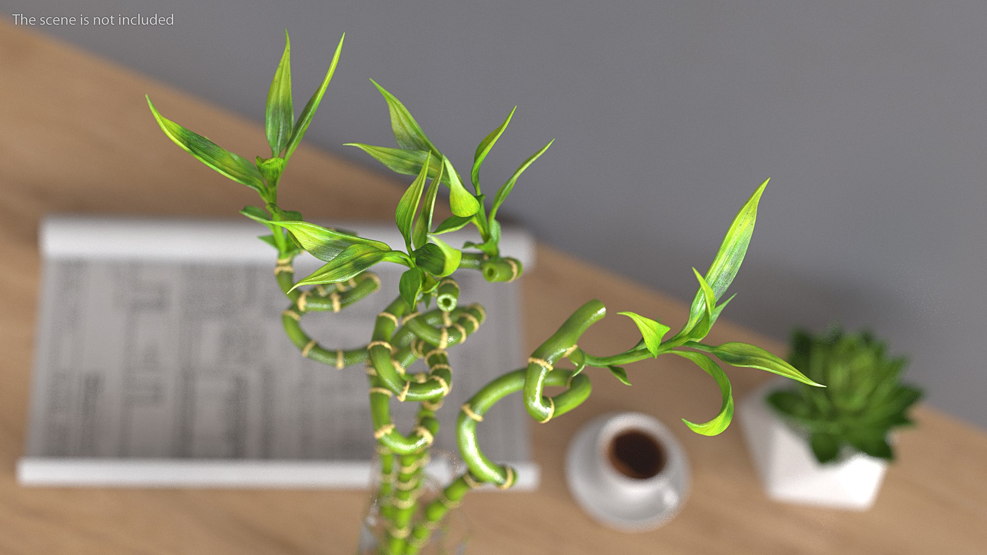 3D lucky bamboo bouquet https://p.turbosquid.com/ts-thumb/As/Dt6Fwl/z3IMqNGb/luckybamboobouquet3dsmodel002/jpg/1587510063/1920x1080/fit_q87/e8e35920f3c1bb518b767c62cbe9de1d2023c9f1/luckybamboobouquet3dsmodel002.jpg