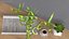 Lucky Bamboo Bouquet