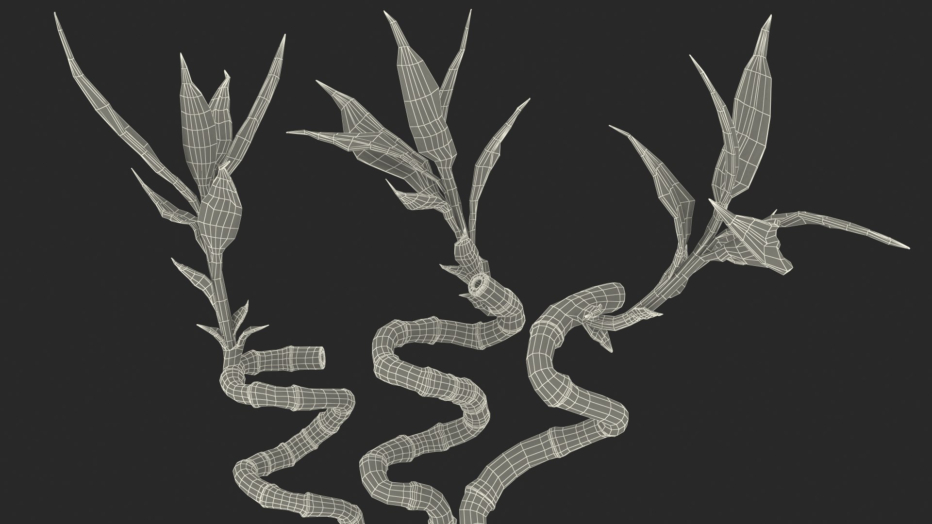 3D lucky bamboo bouquet https://p.turbosquid.com/ts-thumb/As/Dt6Fwl/z3Qg6Eat/luckybamboobouquet3dsmodel021/jpg/1587510130/1920x1080/fit_q87/61203638bc577d872034c90bdc716598b2ebc1a2/luckybamboobouquet3dsmodel021.jpg