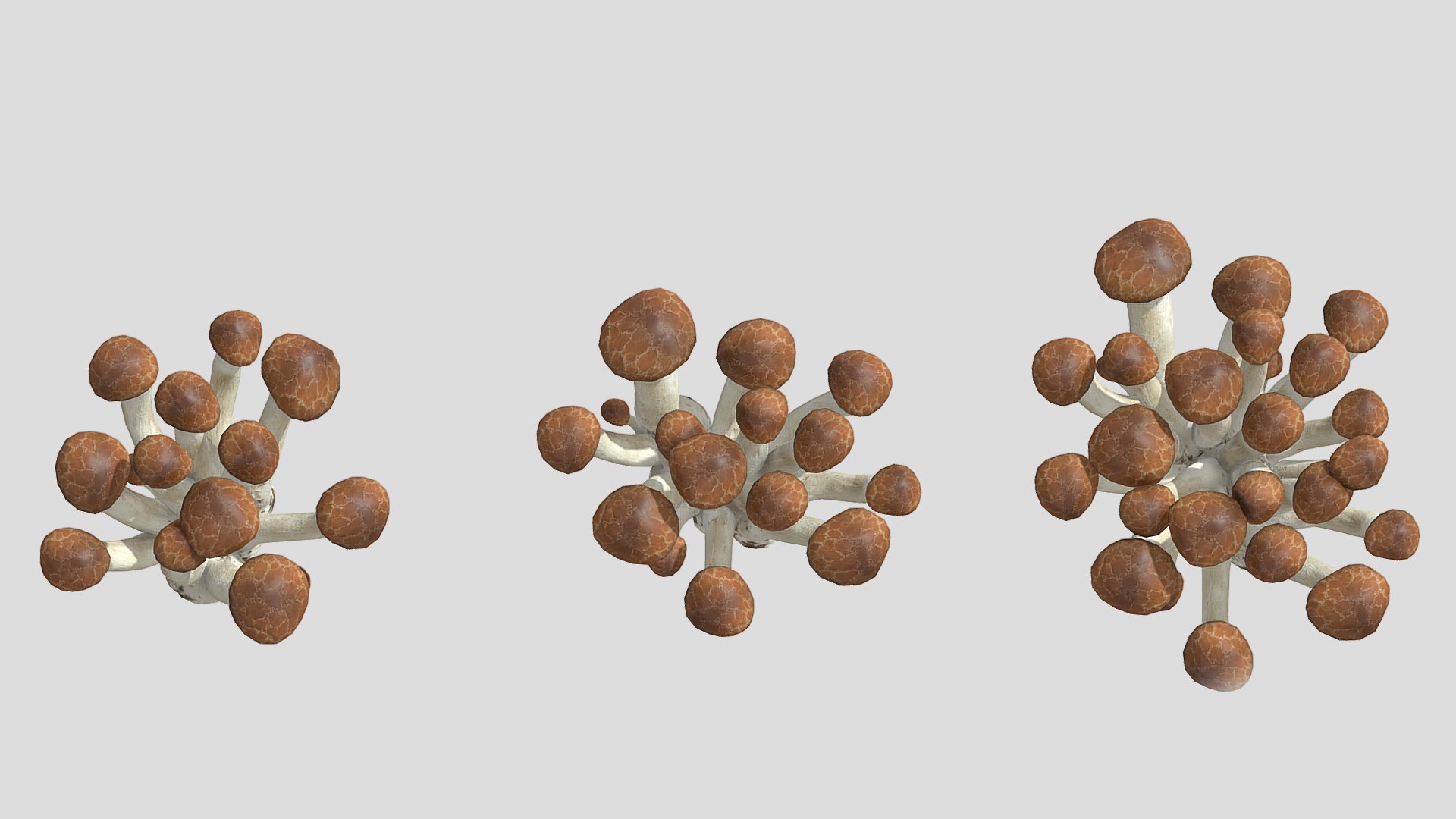 Beech Mushroom Low Poly 3D model https://p.turbosquid.com/ts-thumb/As/OlXHSY/E4/beechmushroomlowpoly006/jpg/1733114995/1920x1080/fit_q87/b37d62eaf88580f11537087d8f2706d8e5c9a11b/beechmushroomlowpoly006.jpg
