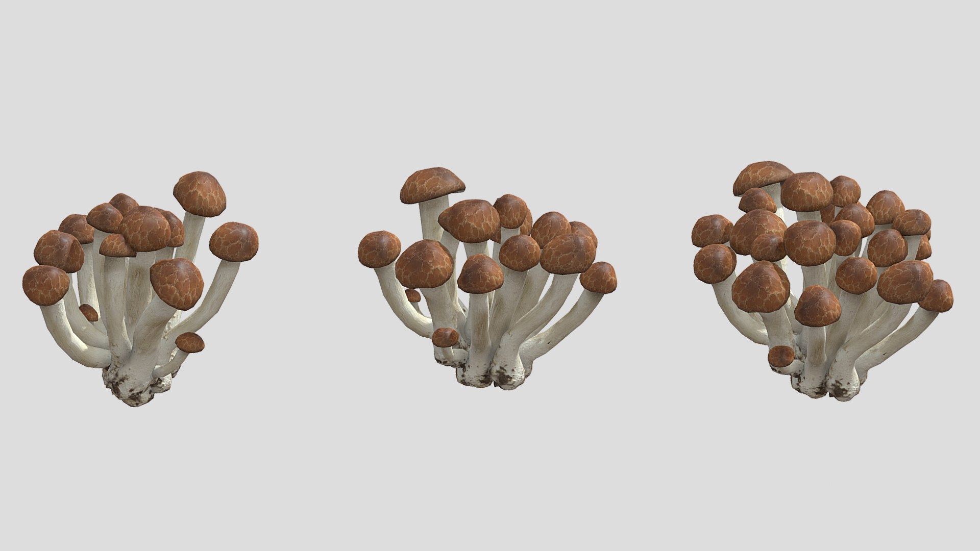 Beech Mushroom Low Poly 3D model https://p.turbosquid.com/ts-thumb/As/OlXHSY/Iw/beechmushroomlowpoly001/jpg/1733114990/1920x1080/fit_q87/1a3cd3d940eb34dca84344108ba55f50e2ce563a/beechmushroomlowpoly001.jpg