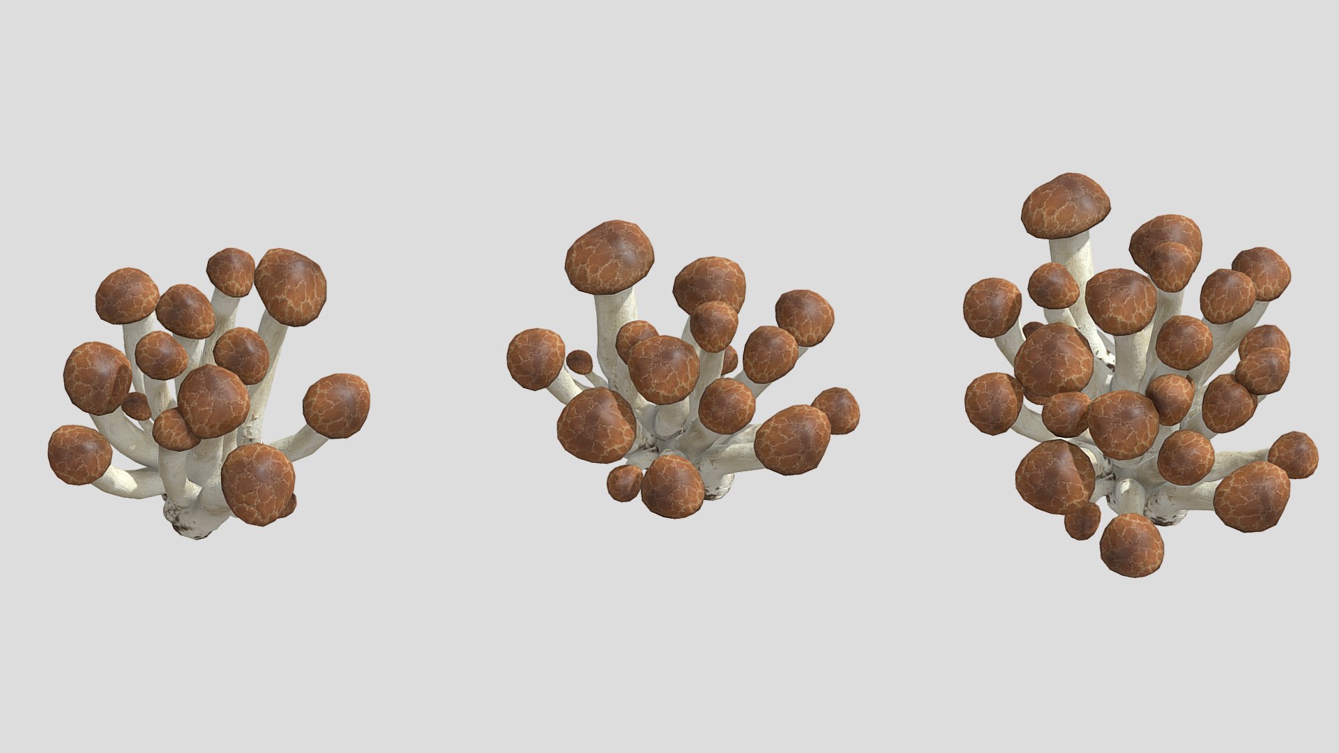 Beech Mushroom Low Poly 3D model https://p.turbosquid.com/ts-thumb/As/OlXHSY/YO/beechmushroomlowpoly003/jpg/1733114992/1920x1080/fit_q87/91cd8aac627909f62cc4c9ce80c53062a51857e4/beechmushroomlowpoly003.jpg