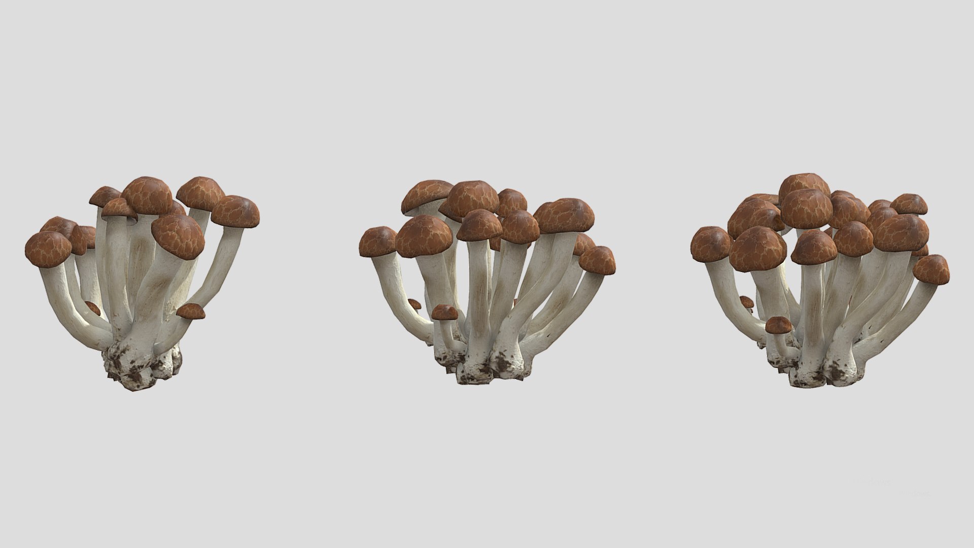 Beech Mushroom Low Poly 3D model https://p.turbosquid.com/ts-thumb/As/OlXHSY/xc/beechmushroomlowpoly005/jpg/1733114994/1920x1080/fit_q87/04d8357cc4ce8508e3bcdbf2eb234e28acf51b89/beechmushroomlowpoly005.jpg