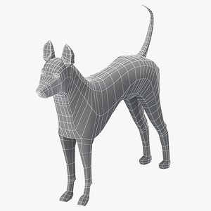 3D base mesh thai ridgeback