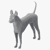 Thai Ridgeback Dog Base Mesh