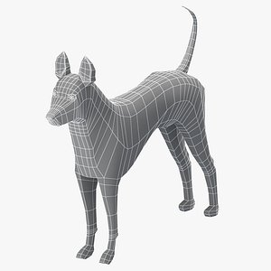 Thai Ridgeback Dog Base Mesh