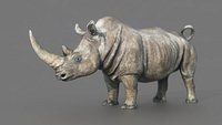 White Rhino