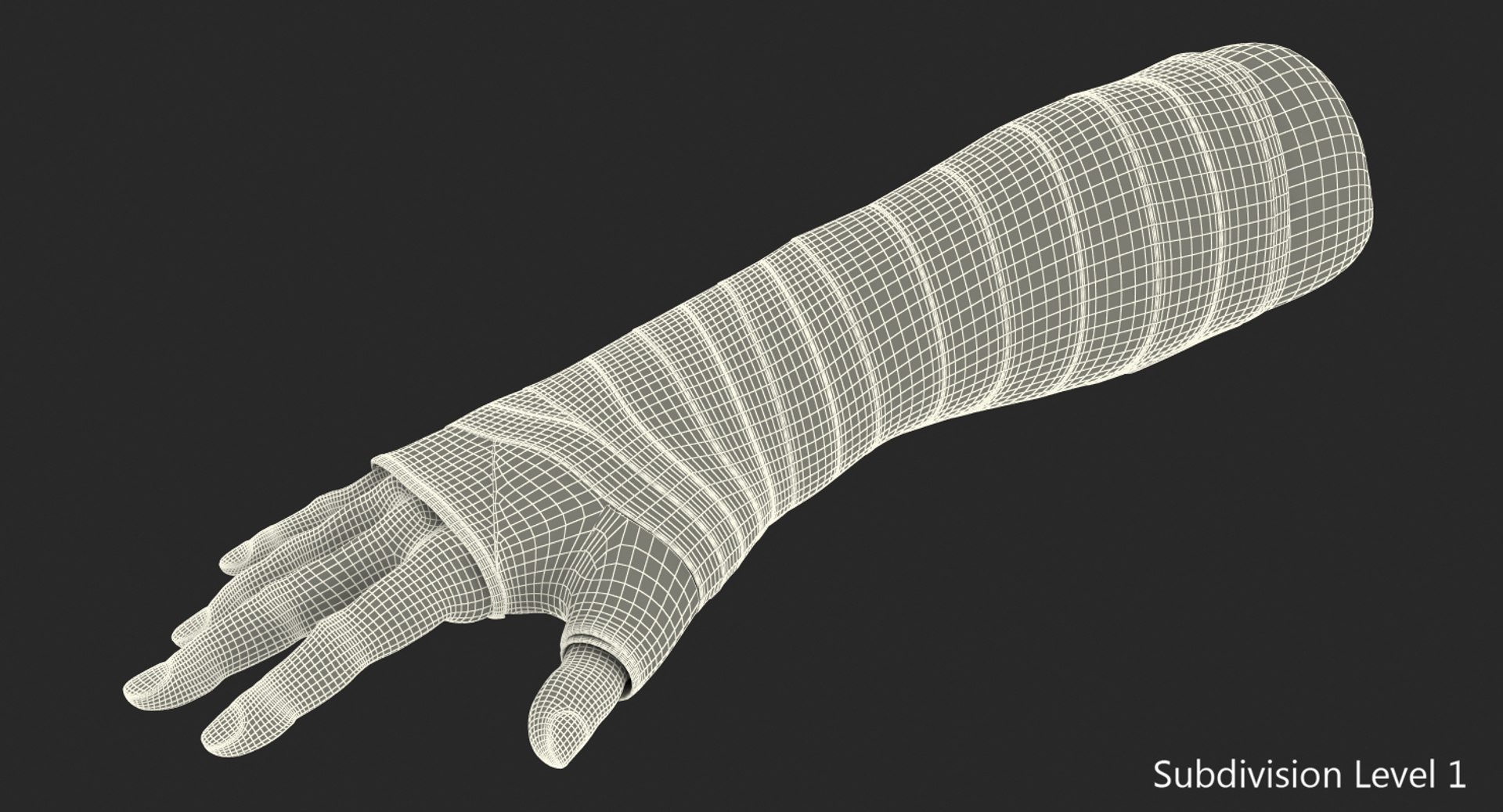 Fiberglass Cast Wrist Model TurboSquid 1230113