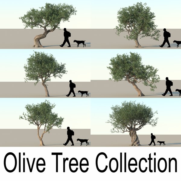 olive tree obj