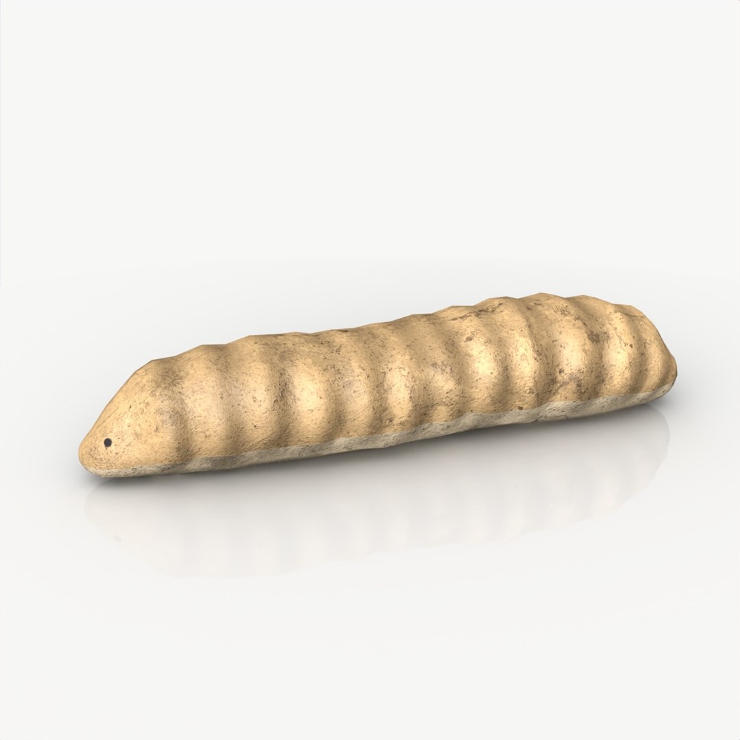 Free Small Worm FREE Game-ready 3D Model - TurboSquid 2068146