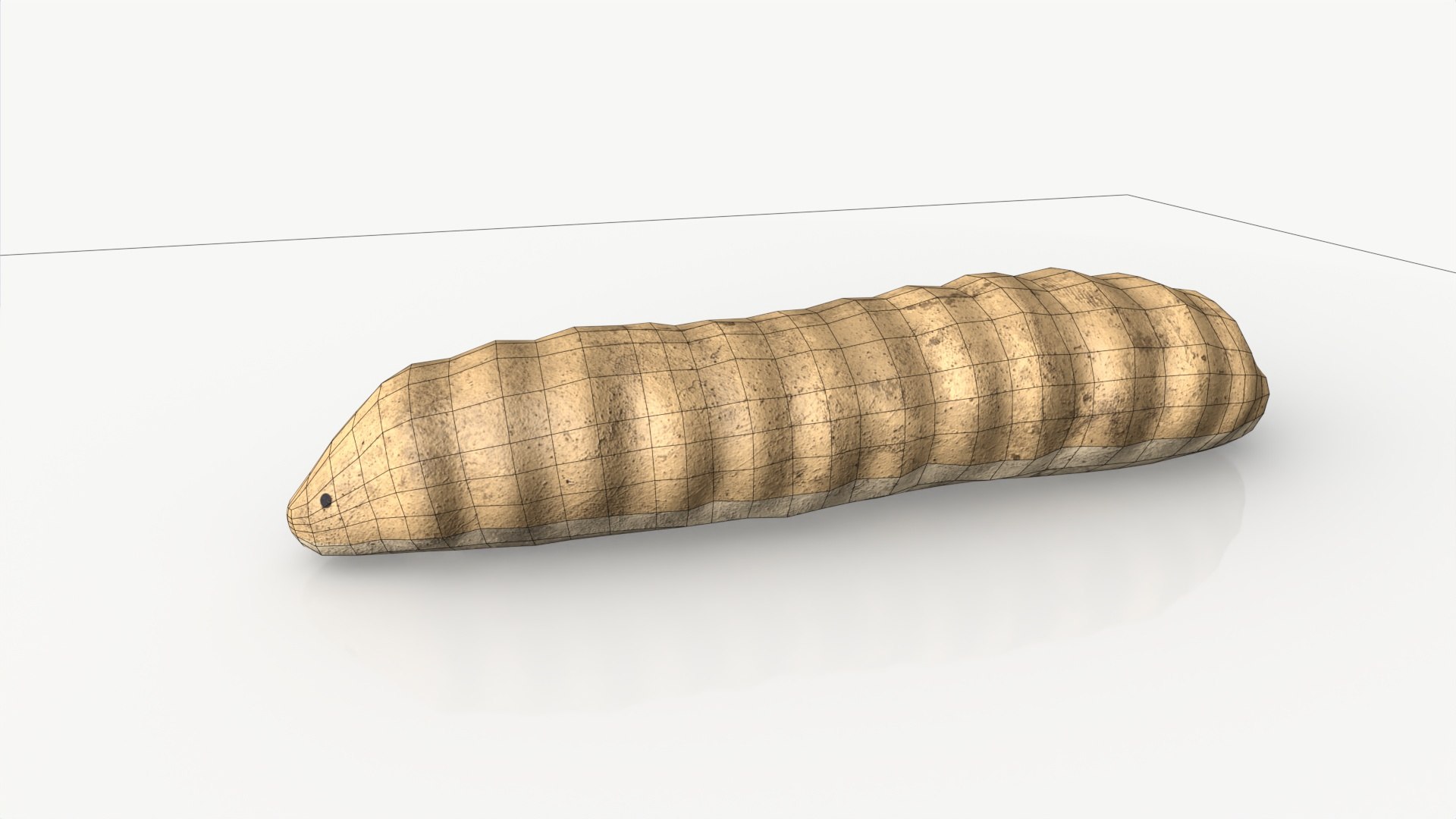 Free Small Worm FREE Game-ready 3D Model - TurboSquid 2068146