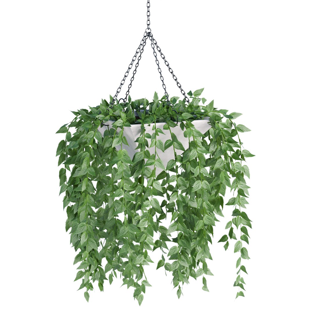 3D Hanging Plant Indoor Collection Vol 60 - TurboSquid 1957587