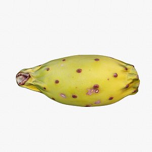 3D model Prickly pear 02 low-poly 3D model