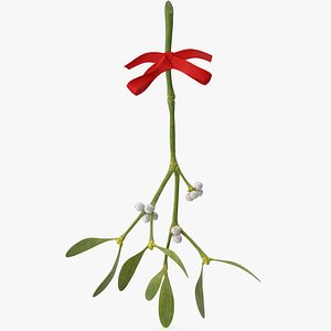 3D Mistletoe 2 with Red Bow 2