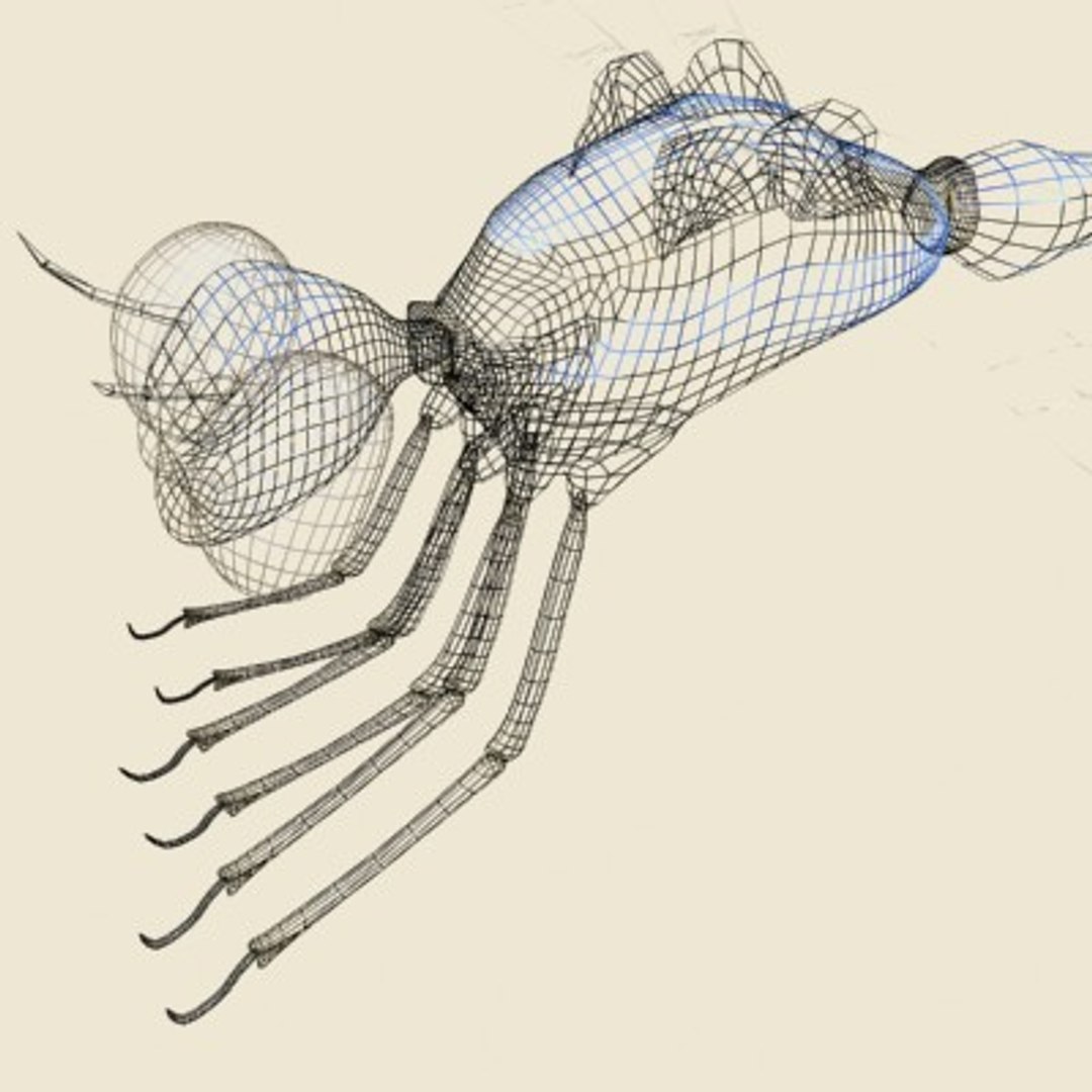 3ds max dragonfly damselfly segments https://p.turbosquid.com/ts-thumb/At/nxChNM/CivaAhWY/dragonfly3/jpg/1064508370/1920x1080/fit_q87/6b221ac4f90db2755d3ef3e5c6654c2426844223/dragonfly3.jpg