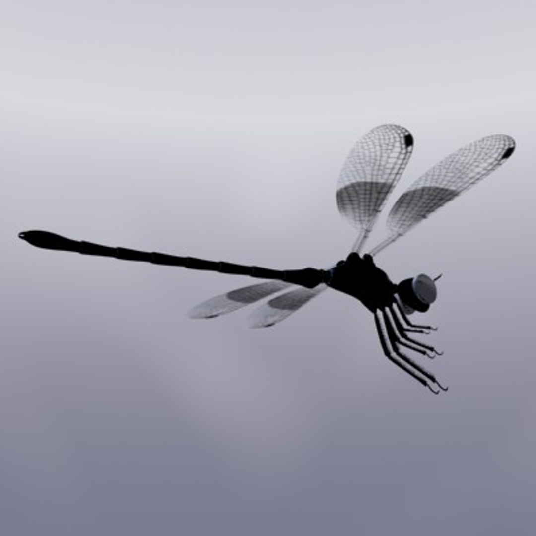 3ds max dragonfly damselfly segments https://p.turbosquid.com/ts-thumb/At/nxChNM/DLc6bnAq/dragonflyunderside/jpg/1060443496/1920x1080/fit_q87/5f86b46224757b4aed296eca859740c0f556e758/dragonflyunderside.jpg