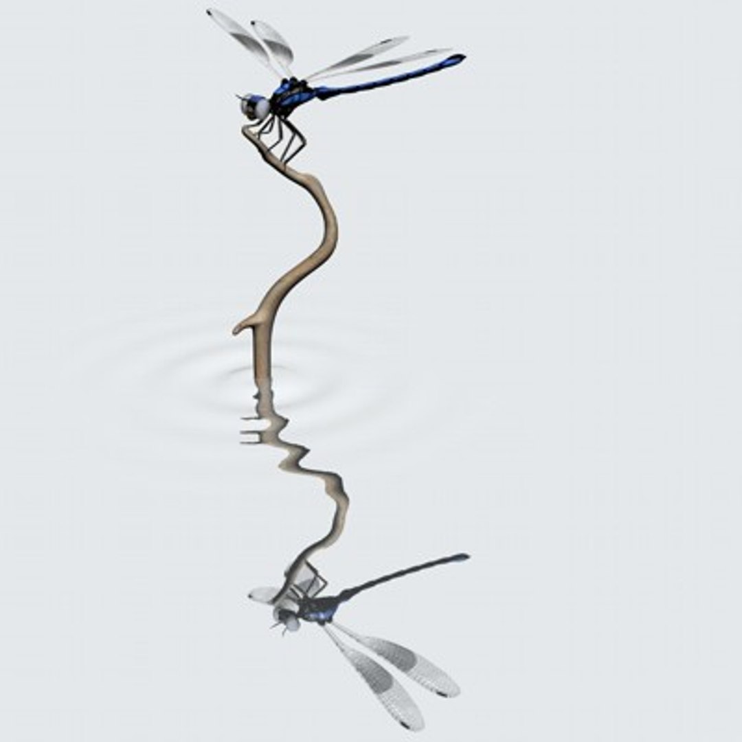 3ds max dragonfly damselfly segments https://p.turbosquid.com/ts-thumb/At/nxChNM/P1SInlQE/dragonflyonatwig/jpg/1060443495/1920x1080/fit_q87/6141bf899d710b2724271045938479959b9cd4aa/dragonflyonatwig.jpg