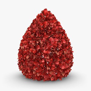 Hedge 03 (Red)