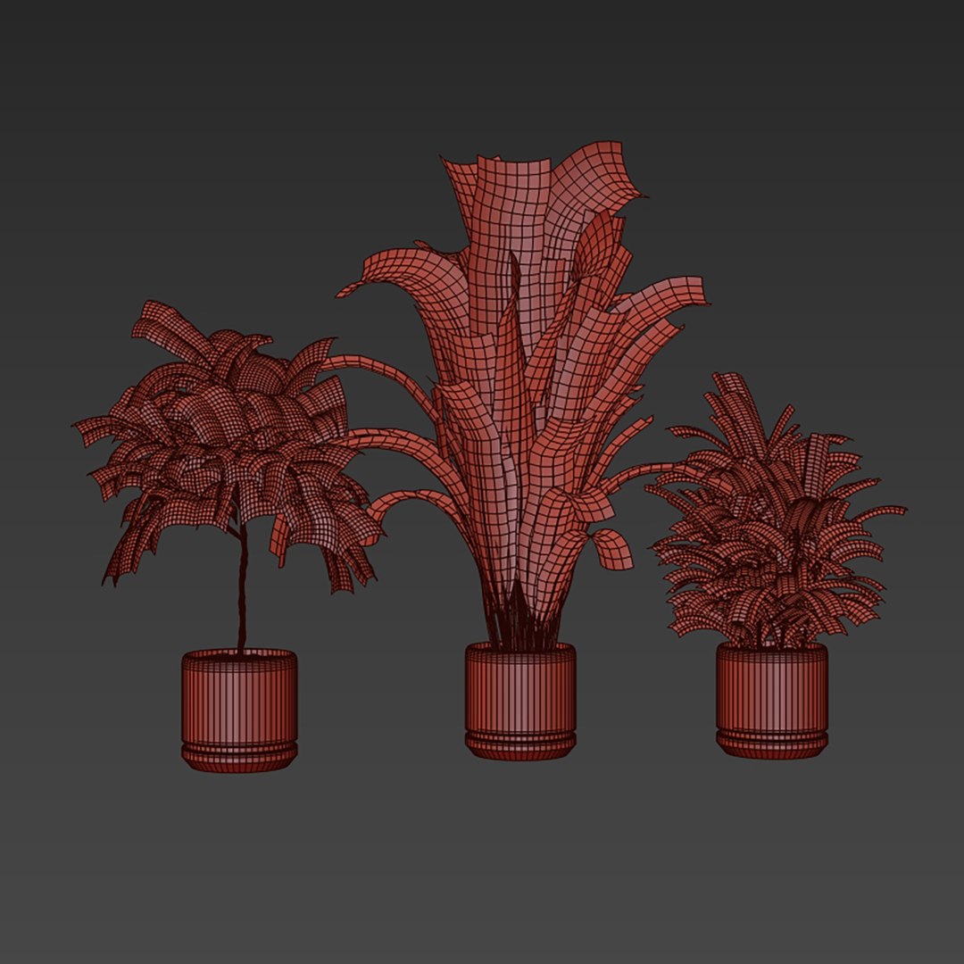 3D plant vol 944 - banana - fiddle - Croton model https://p.turbosquid.com/ts-thumb/Au/2WDJ71/Kc/6/jpg/1784440598/1920x1080/fit_q87/0bbdc6cc173a755ca0eb453a4f0094a999fdd3cc/6.jpg