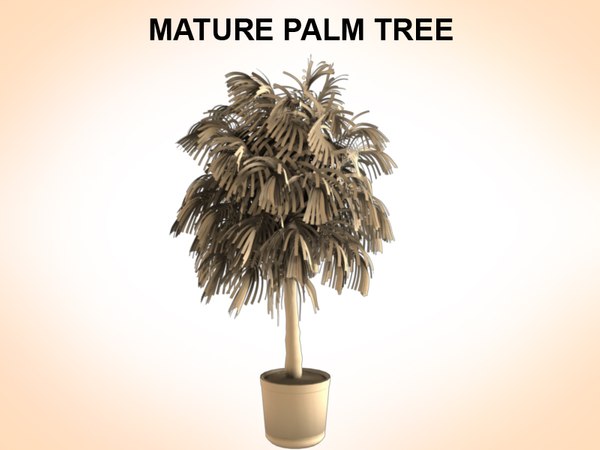 palms plant 3d obj