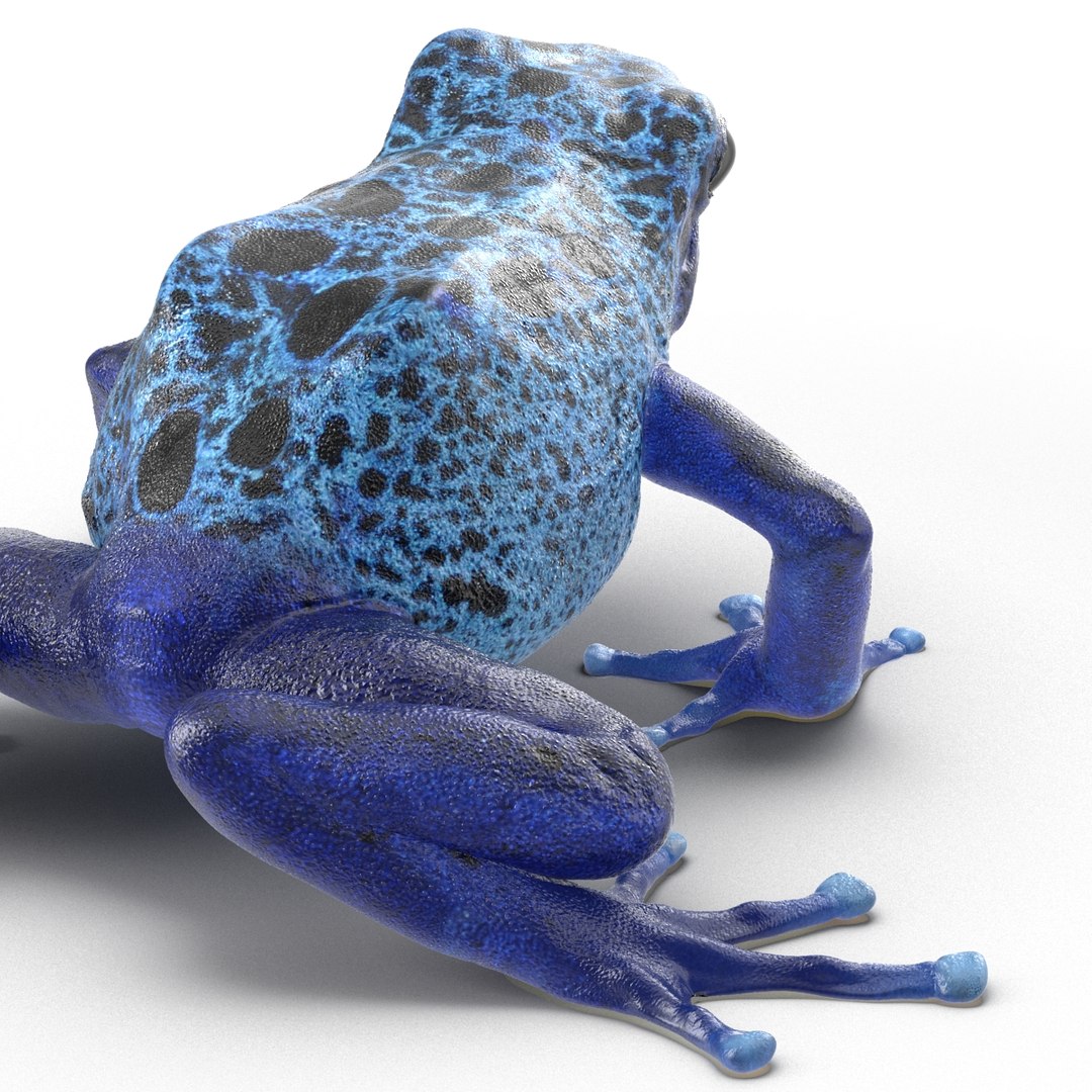 poison dart frog rigged ma