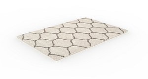 Area Rug