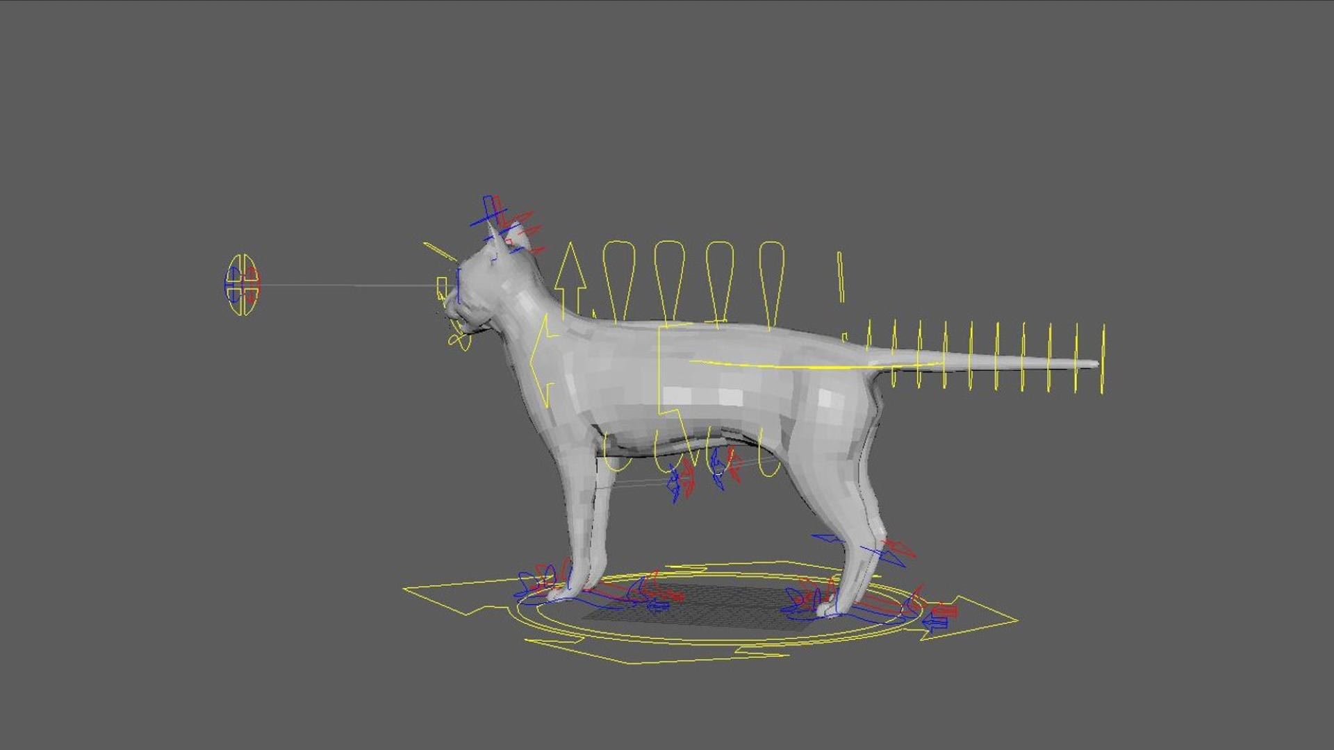3D catAnatomy 3D https://p.turbosquid.com/ts-thumb/Au/a9ed1p/RE/24/jpg/1754299385/1920x1080/fit_q87/78c7be38ee331017c2b7c4f0c81a1b67d20a9dc2/24.jpg