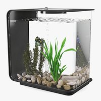 Designer Rectangle Aquarium Black with Fish