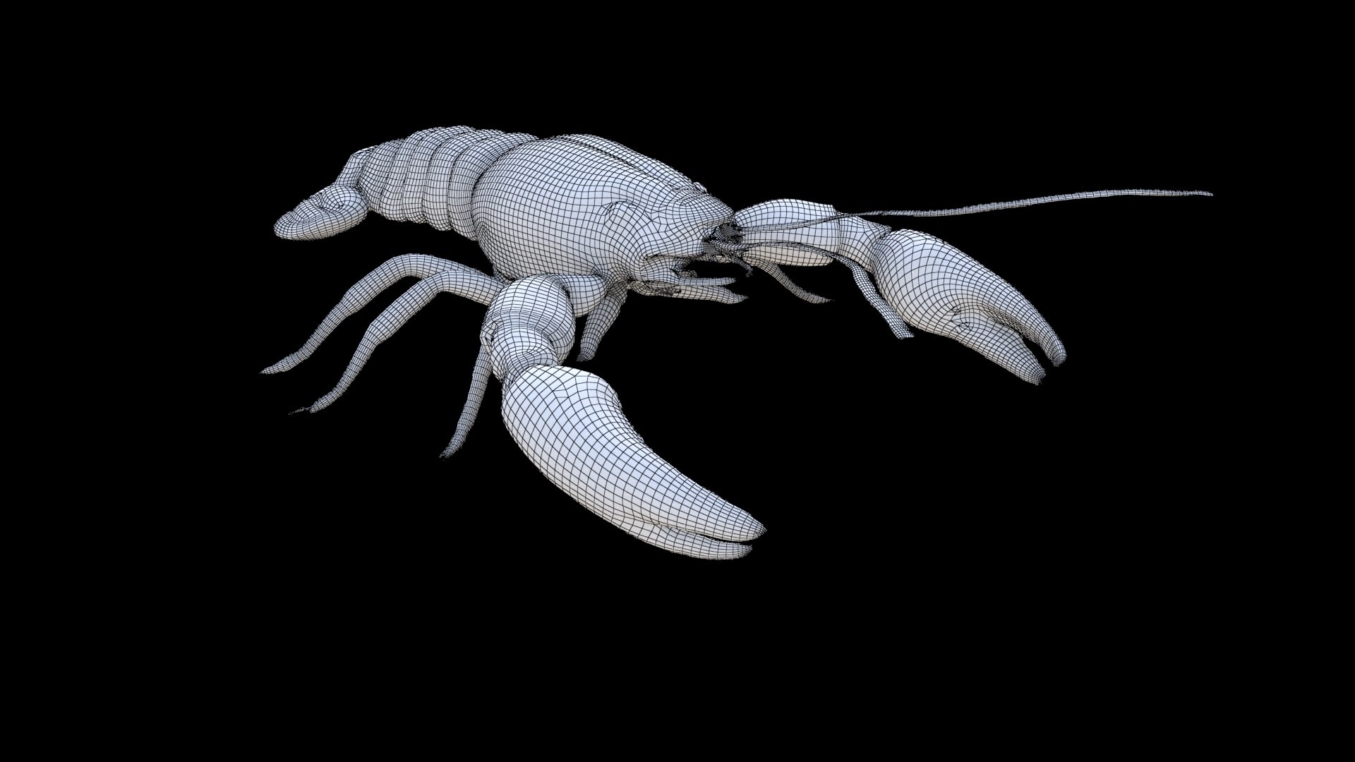 Crayfish 3D Model - TurboSquid 2338810