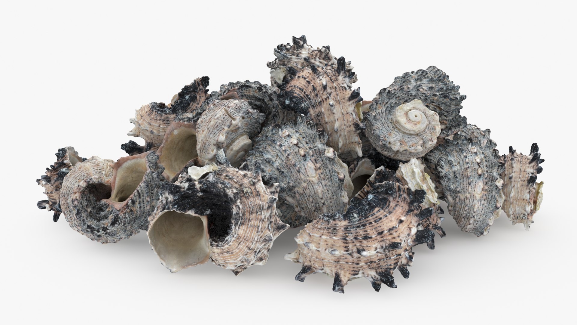 Angaria Delphinus Pile Model - TurboSquid 2214463