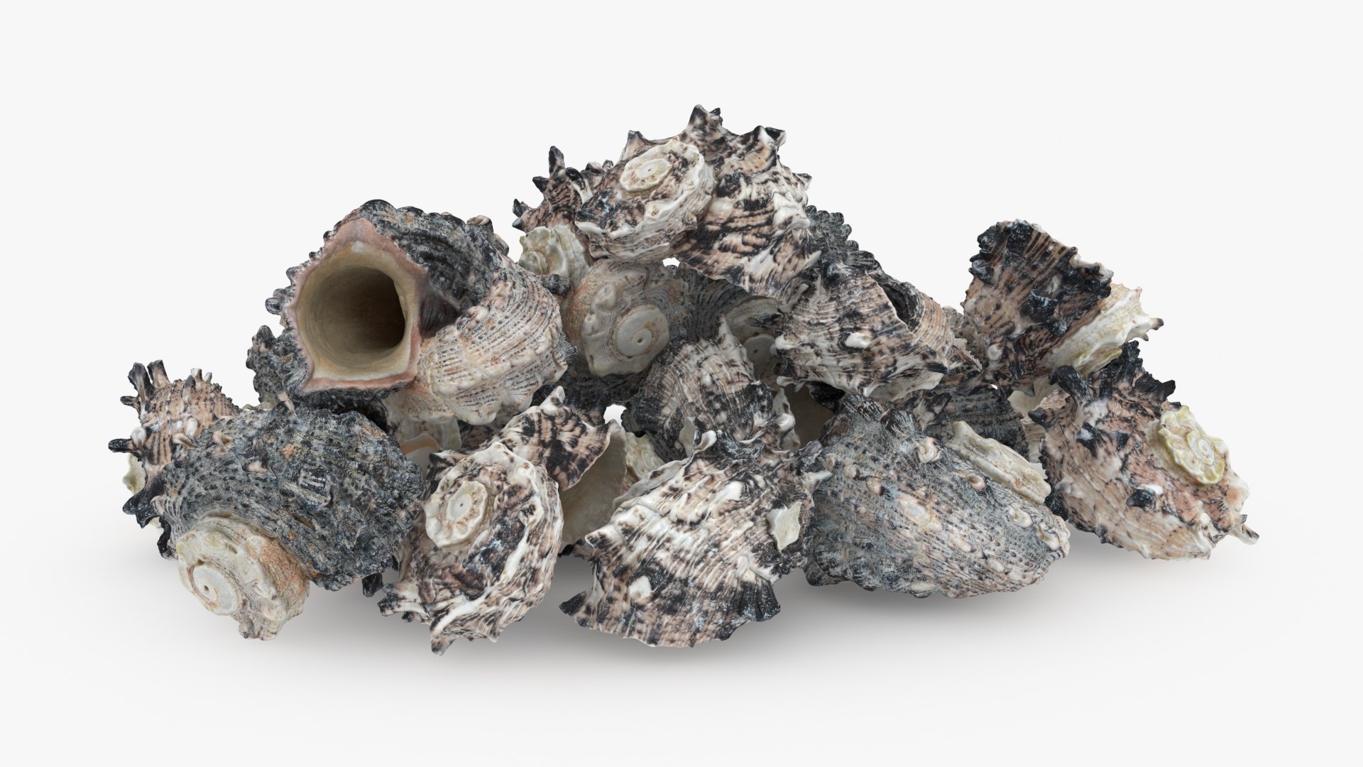 Angaria Delphinus Pile Model - TurboSquid 2214463