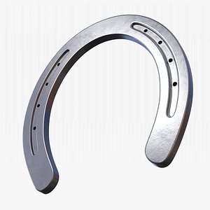 Steel Horseshoe