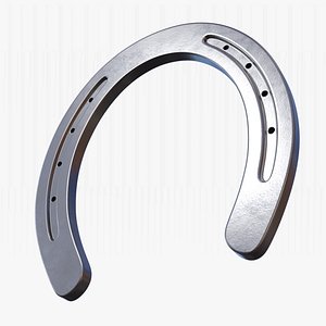 Steel Horseshoe