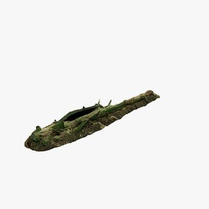 3D Anydrafts Old fallen tree 01