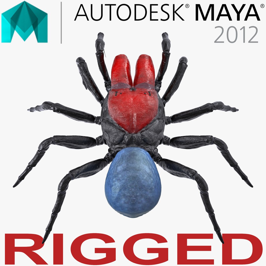 Mouse Spider Rigged for Maya 3D Model 3D model preview