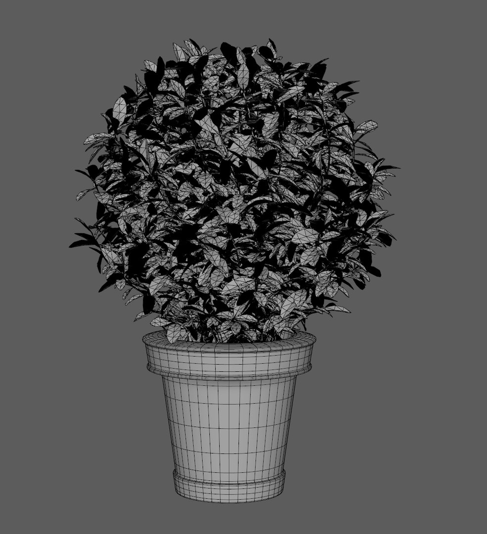 plant pot 3D model https://p.turbosquid.com/ts-thumb/Au/uuYJNs/4Thlwvt7/plant6/jpg/1536927164/1920x1080/fit_q87/551306b3cd9c1753d5d507e2a44ad501aa5c0906/plant6.jpg