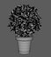 Bush Pot