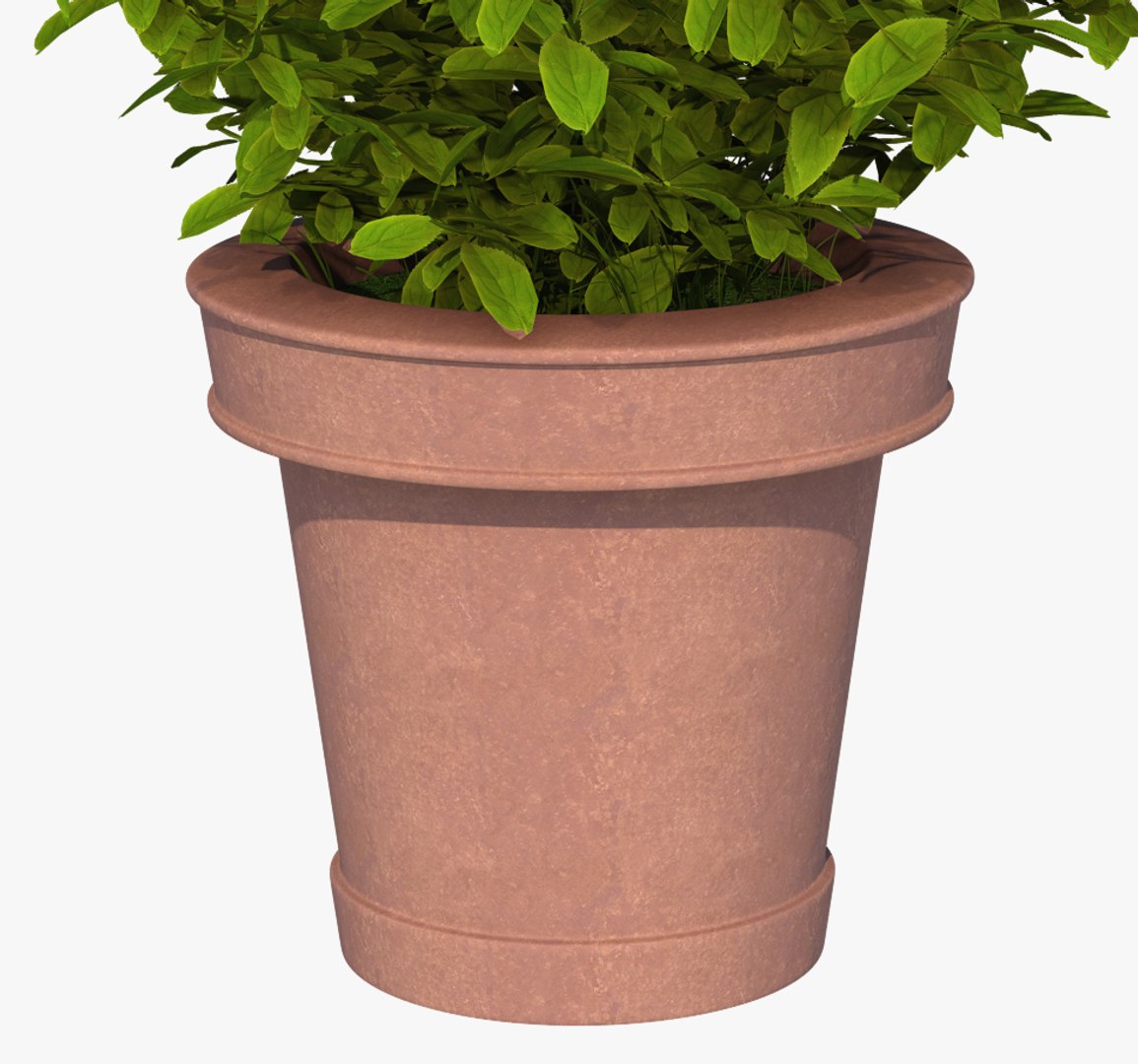 plant pot 3D model https://p.turbosquid.com/ts-thumb/Au/uuYJNs/7QYHDc3k/plant3/jpg/1536926961/1920x1080/fit_q87/84a937653bc3c99e62d36e50600683564178b993/plant3.jpg